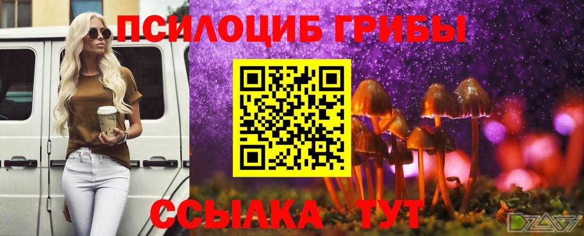 Галлюциногенные грибы MAGIC MUSHROOMS Кольчугино