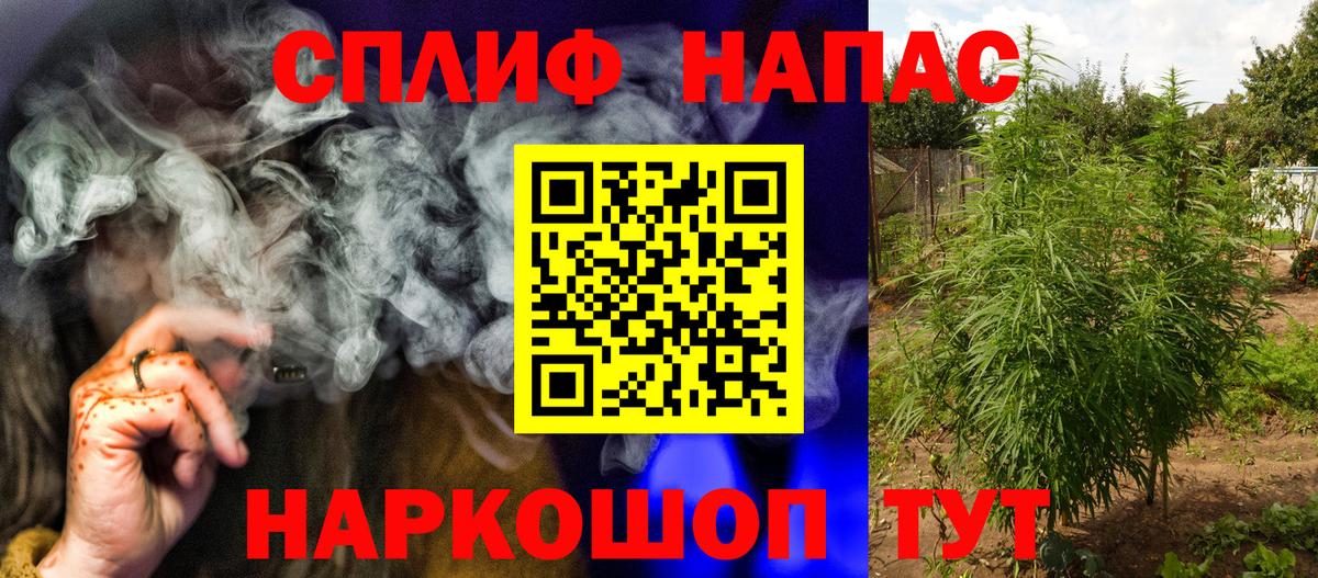 Канабис семена Кольчугино
